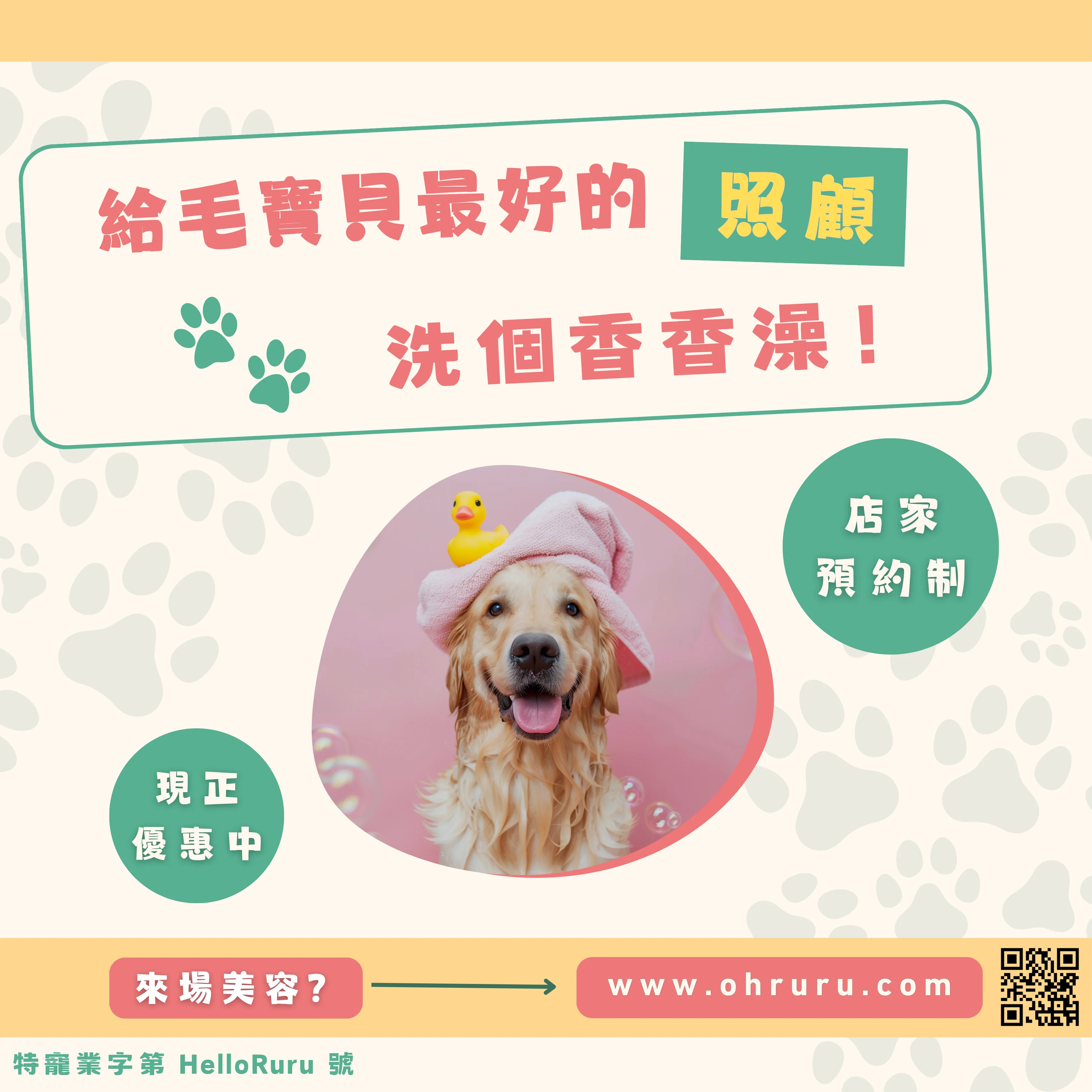 毛寶貝 SPA 體驗